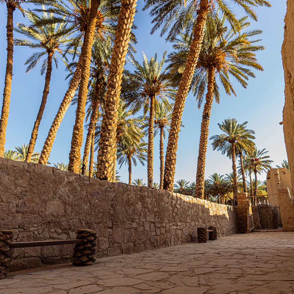  سحر التراث في تيماء 