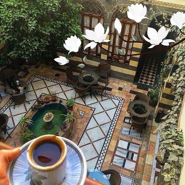  مطعم الشيف ضحى 