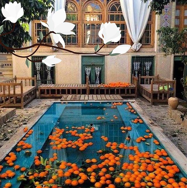  مناظر ساحرة تنتظر زوار مطعم الشيف ضحى 