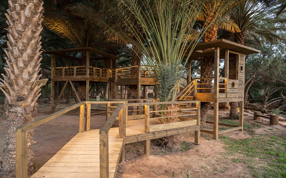  أجواء خلابة تنتظر زوار واحة ديمومة. 