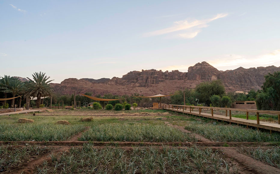  أجواء مناسبة للاستجمام 