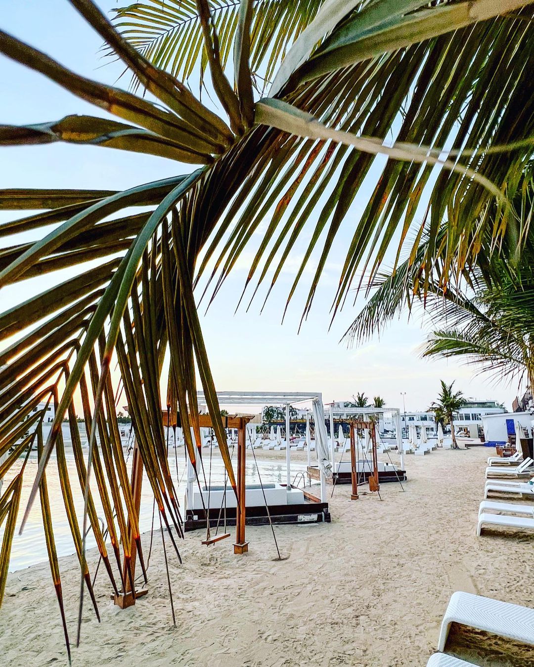  الأجواء الساحرة في مانجروف بيتش 