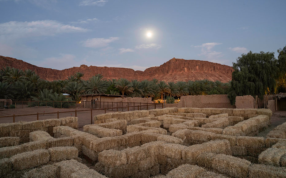  سحر الطبيعة في ديمومة 