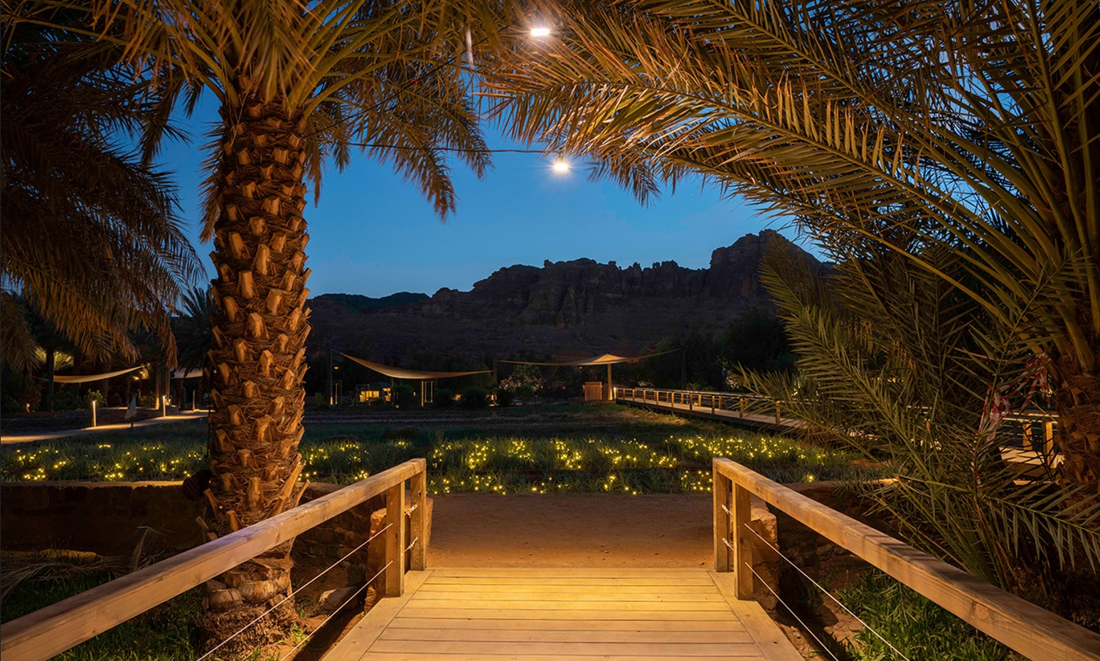  واحة ديمومة.. وجهة تنبض بالحياة في العلا 