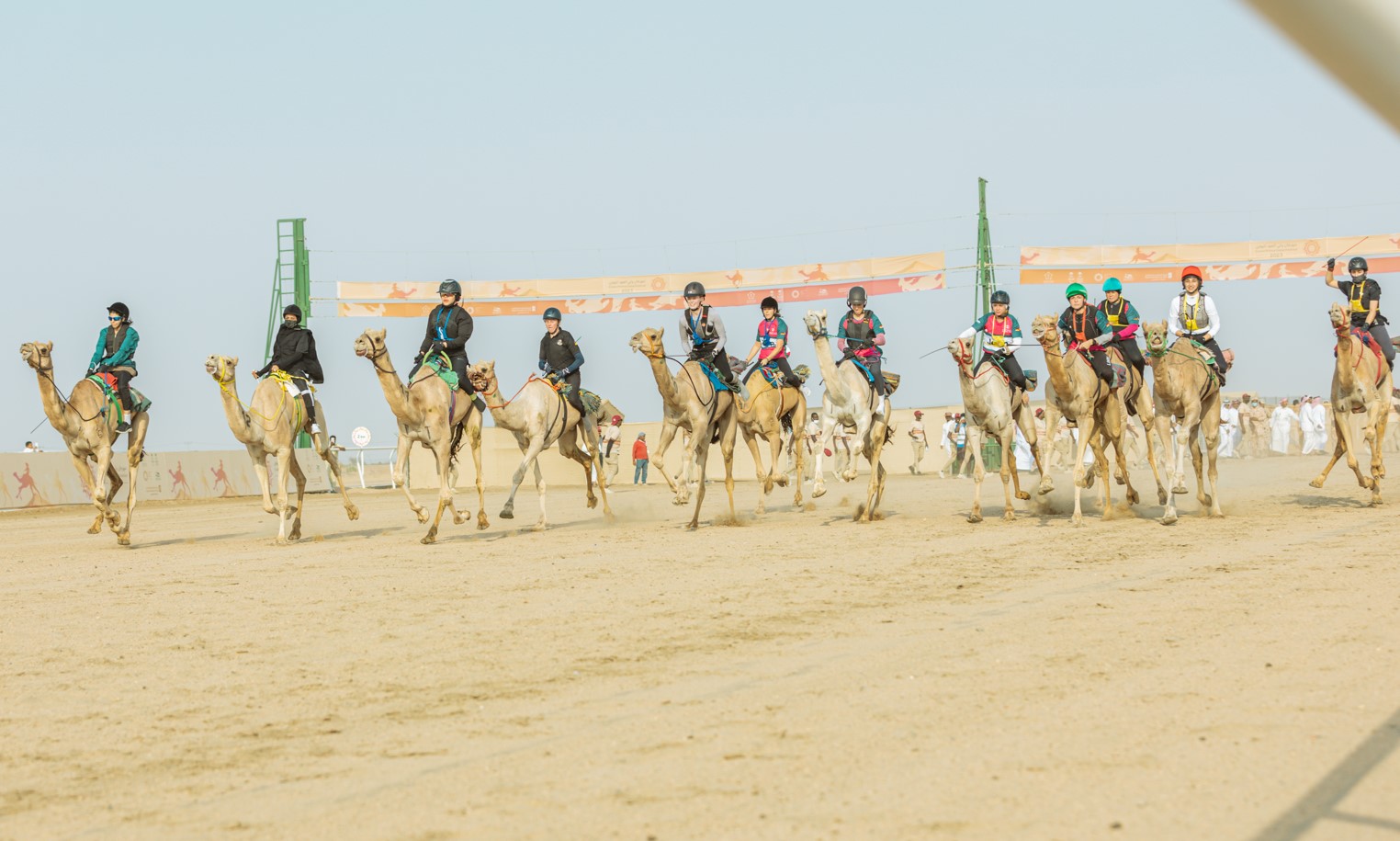 جانب من سباق مهرجان ولي العهد للهجن في نسخته الخامسة