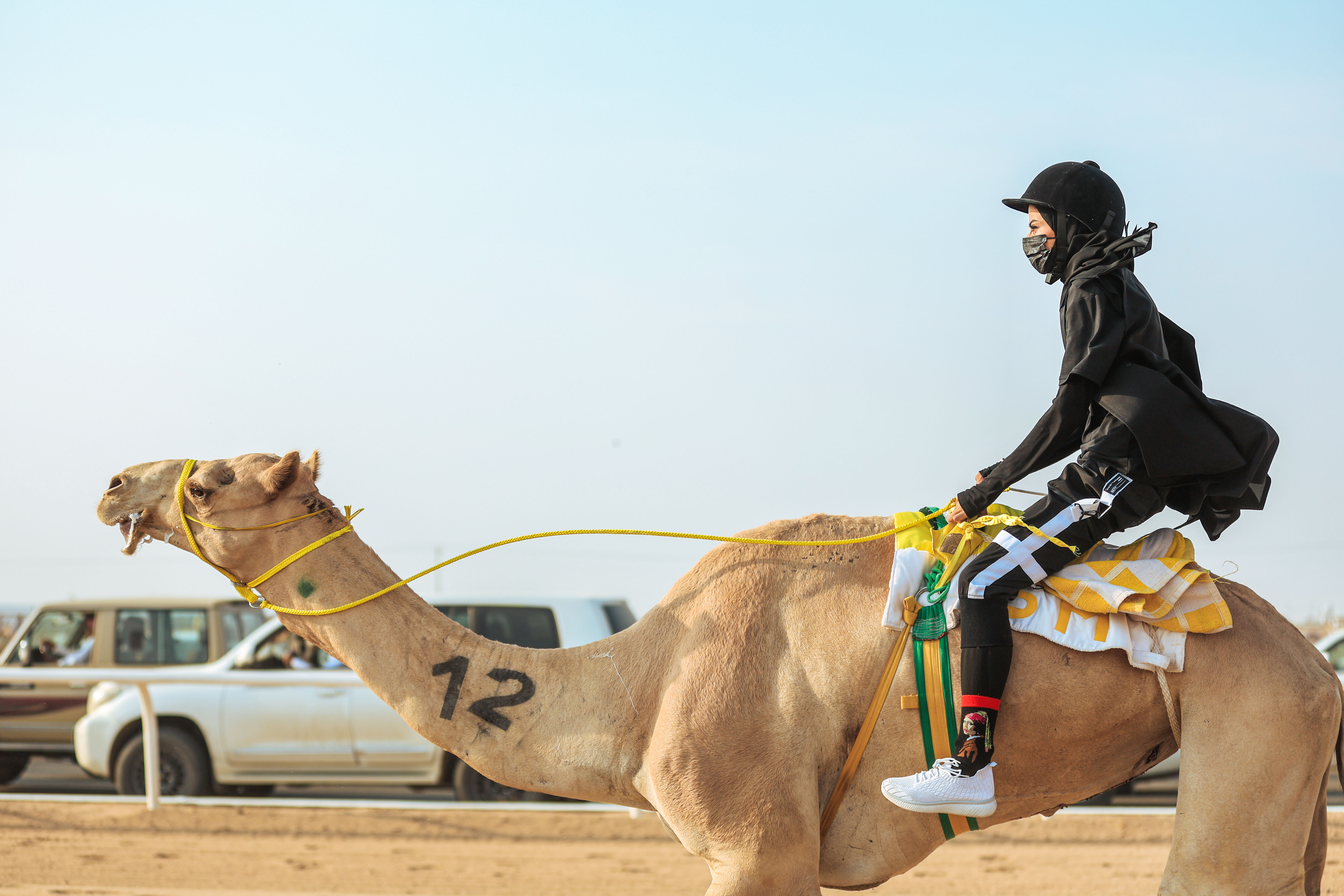 ونجحت الهجانة تايلور في خطف لقب الشوط الدولي المفتوح (2 كيلو متر)