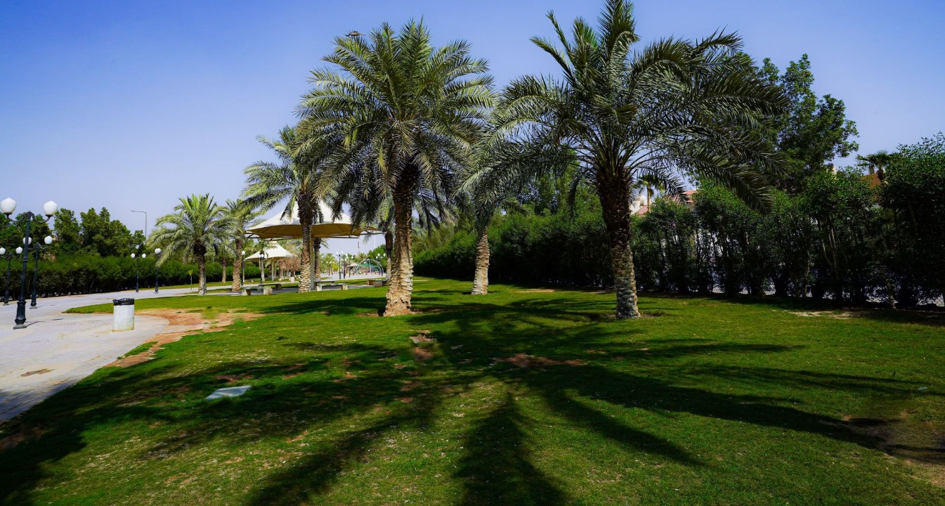 حديقة الواحة