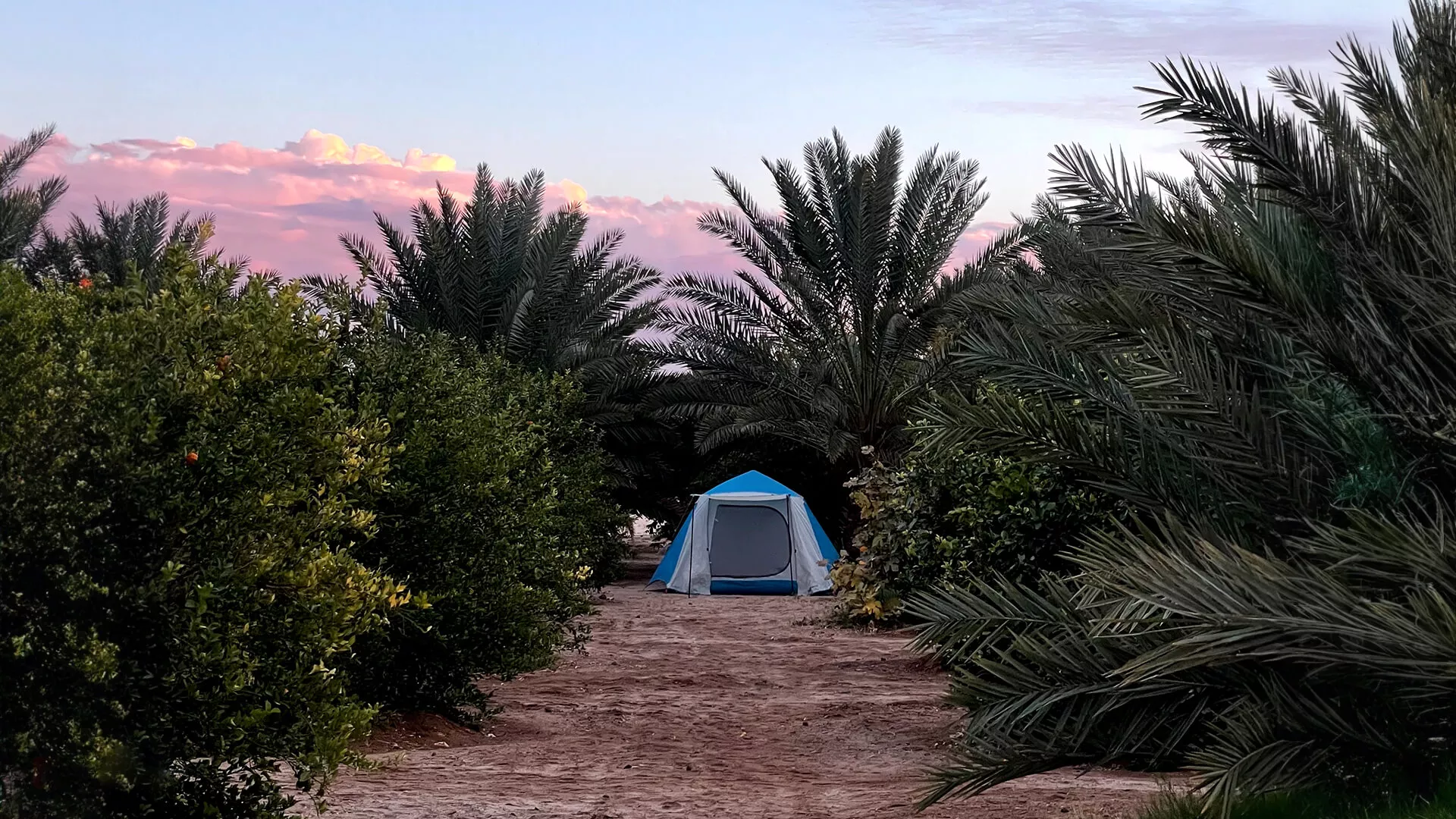  التخييم في براري العلا 