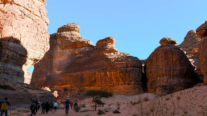  مسار المغامرة في العلا 