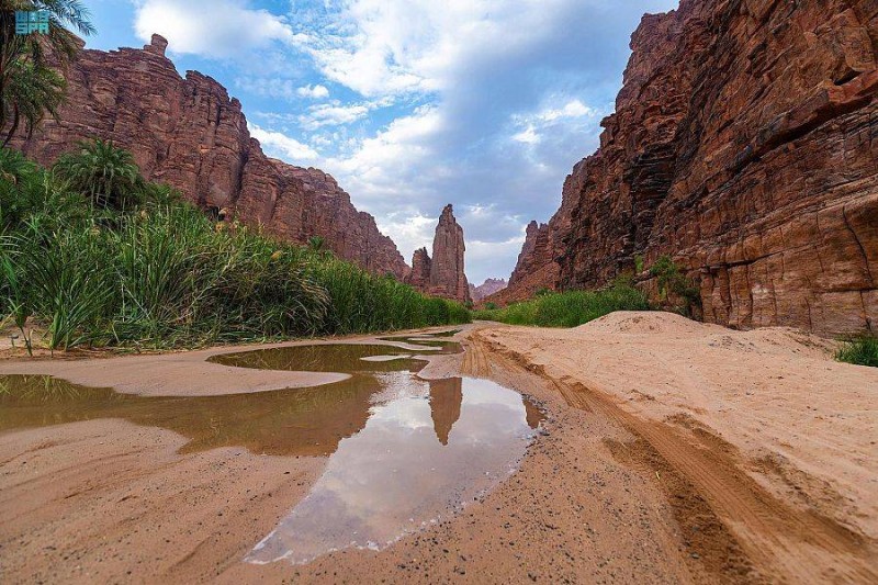  وادي الديسة في تبوك.. وجهة ساحرة لعشاق الهايكنج 
