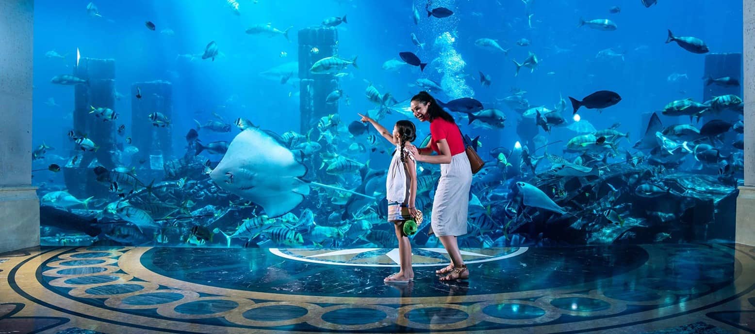 تجارب مميزة تنتظركم في مفاجآت صيف دبي 