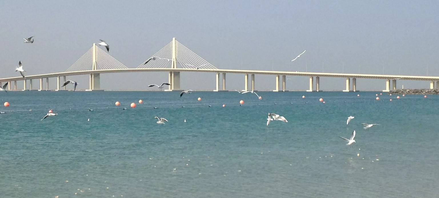 شاطئ البطين 