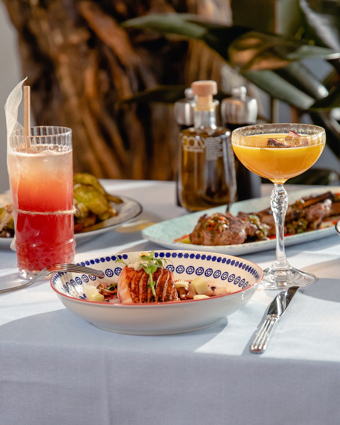  أي.أو.كي وجهة العافية والطعم الرفيع 