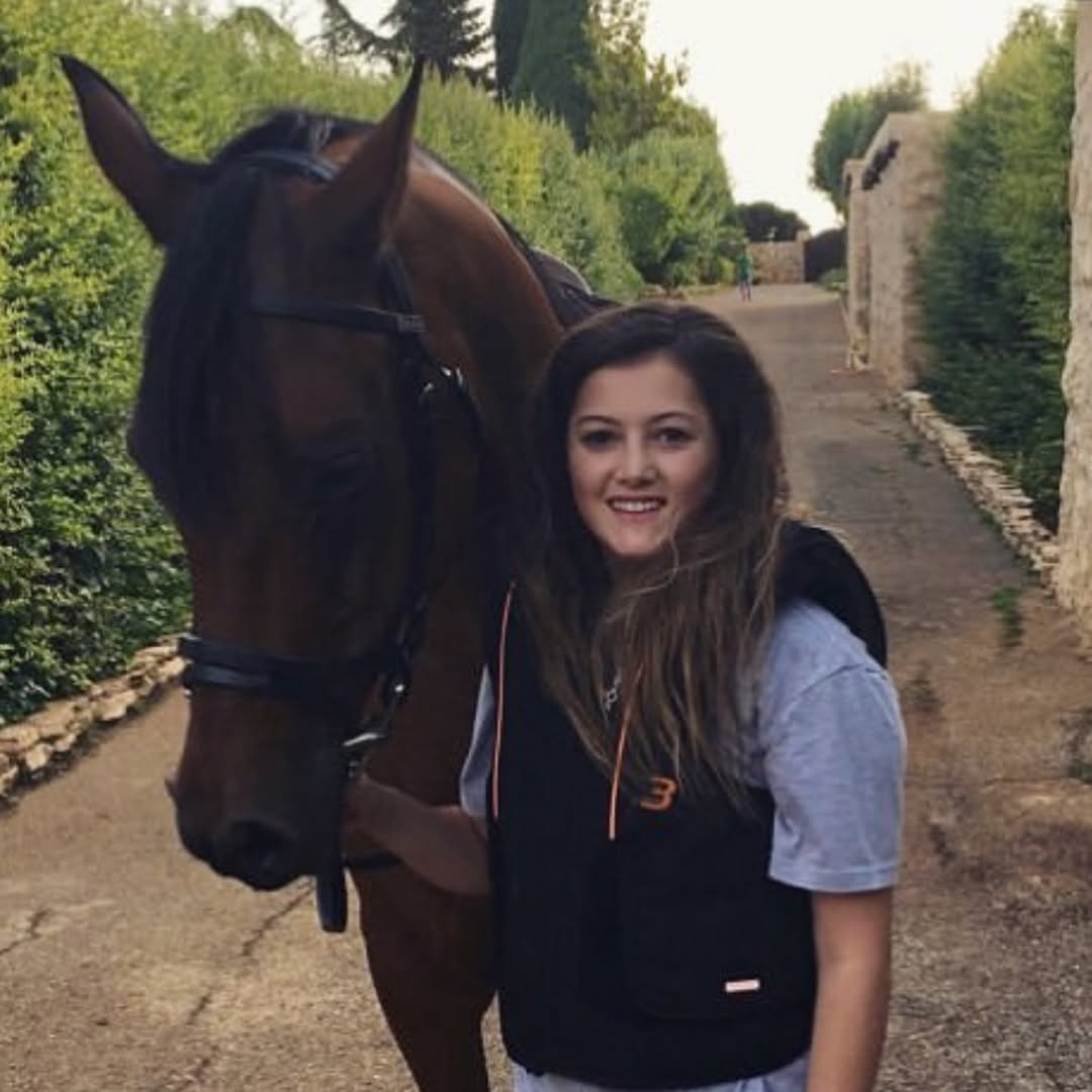  دانا الحلاني تعود إلى 2016