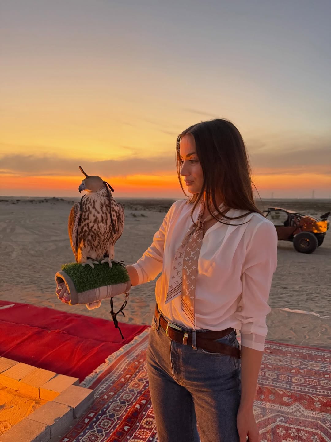 آنا دي أرماس في صحراء أبوظبي