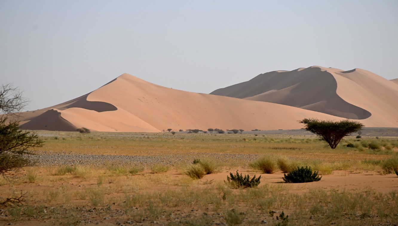 أجواء الطبيعة الخلابة في محمية عروق بني معارض 