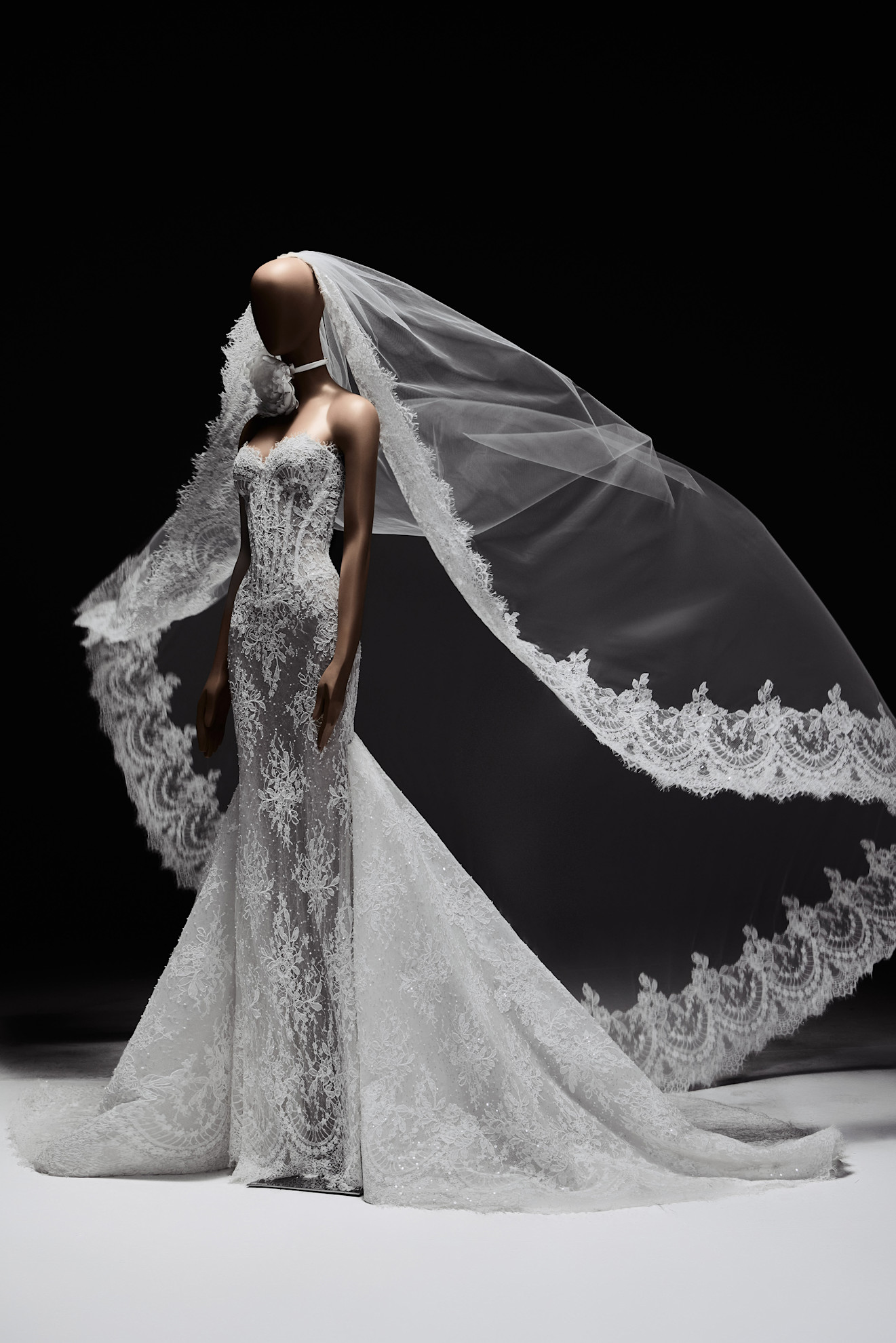 أحجام دراماتيكية في مجموعة فيرونا