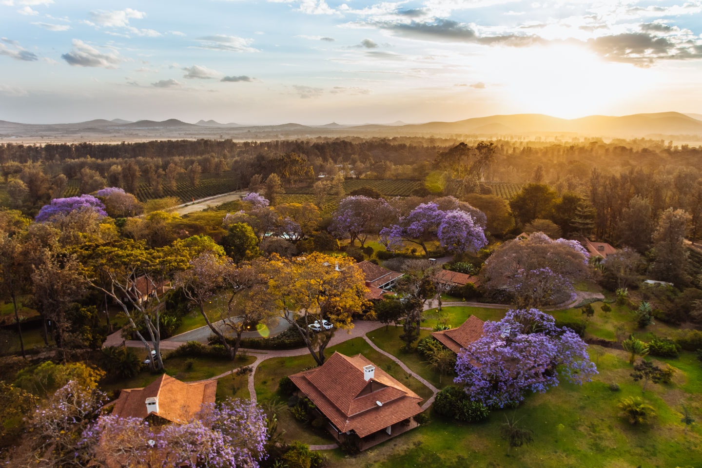 أروشا، تنزانيا