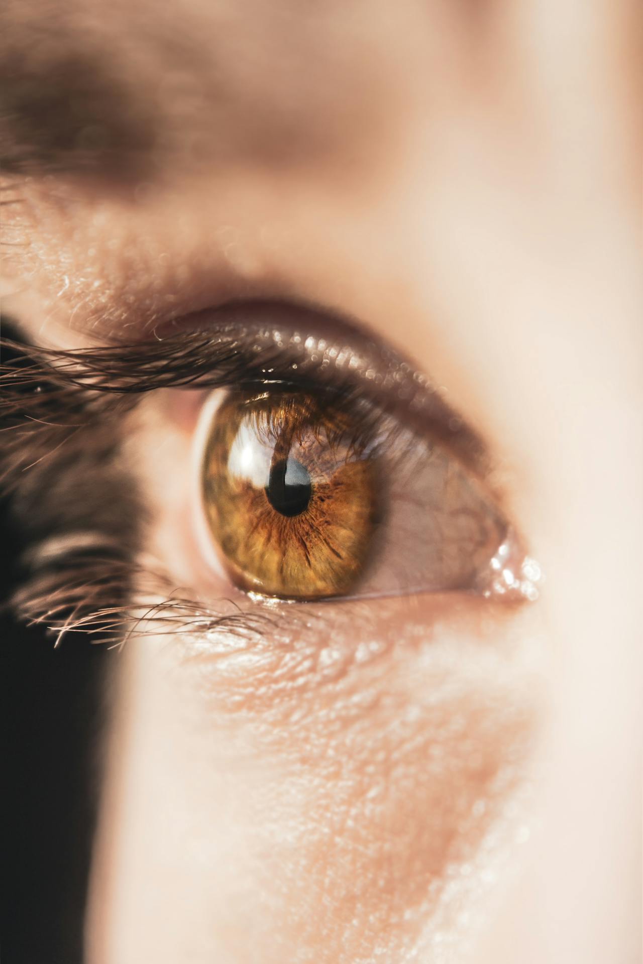 أسباب ترهل وتجاعيد منطقة تحت العين متنوعة