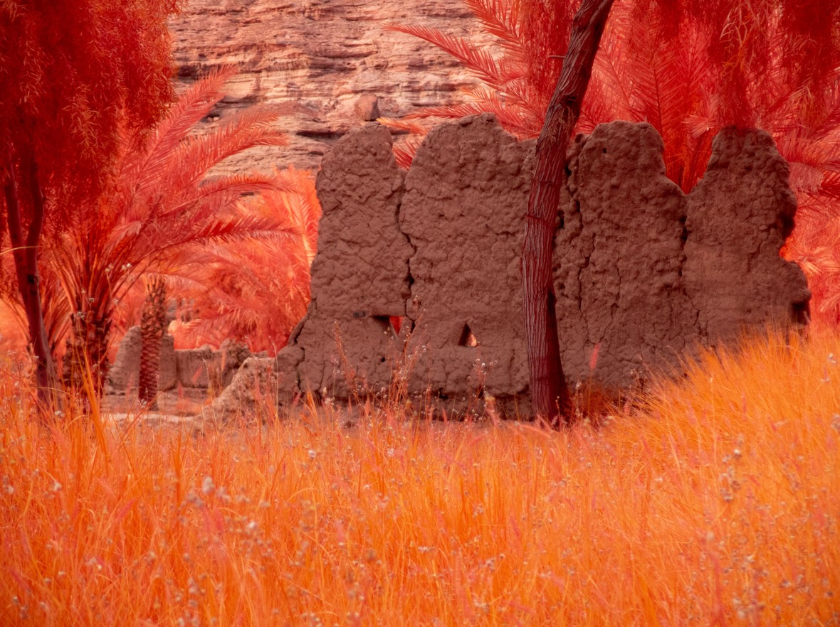 أعمال فنية تنبض بالحياة في أحضان العلا 