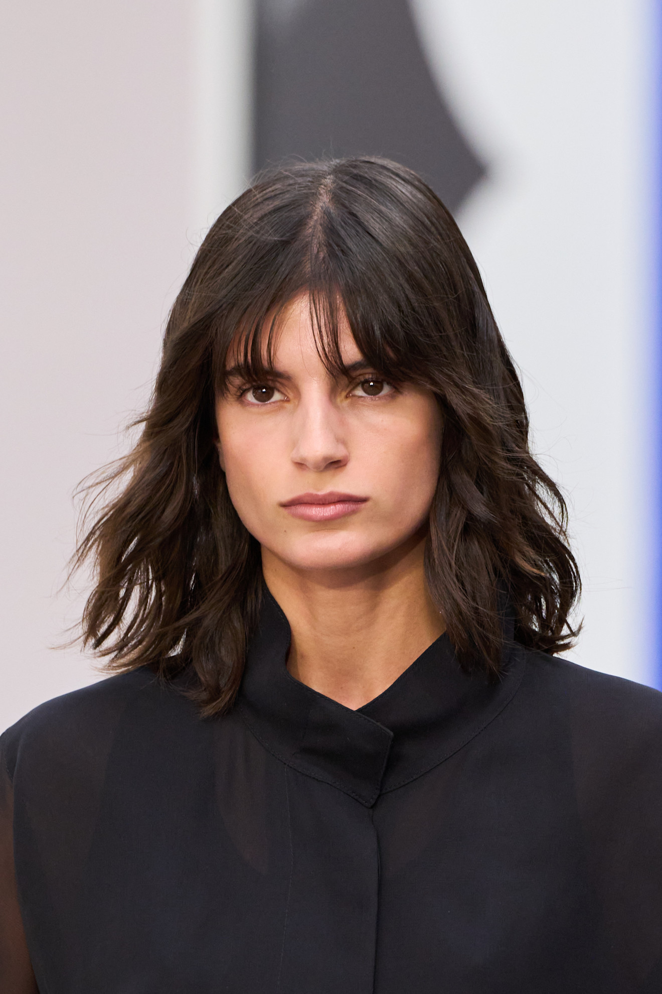 ألوان الشعر بتدرجات سوداء من دار Akris