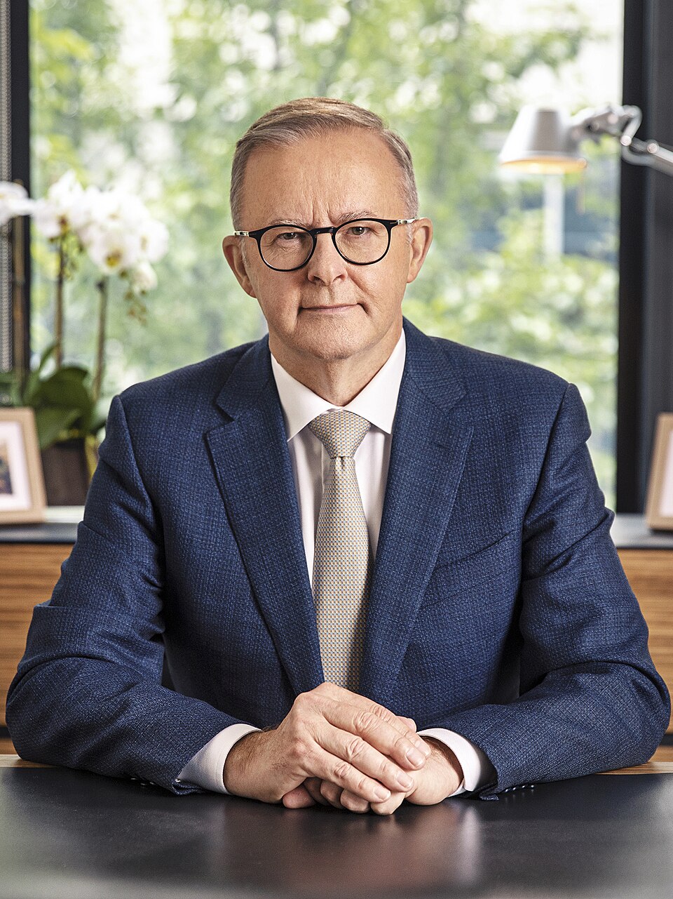 أنتوني ألبانيز