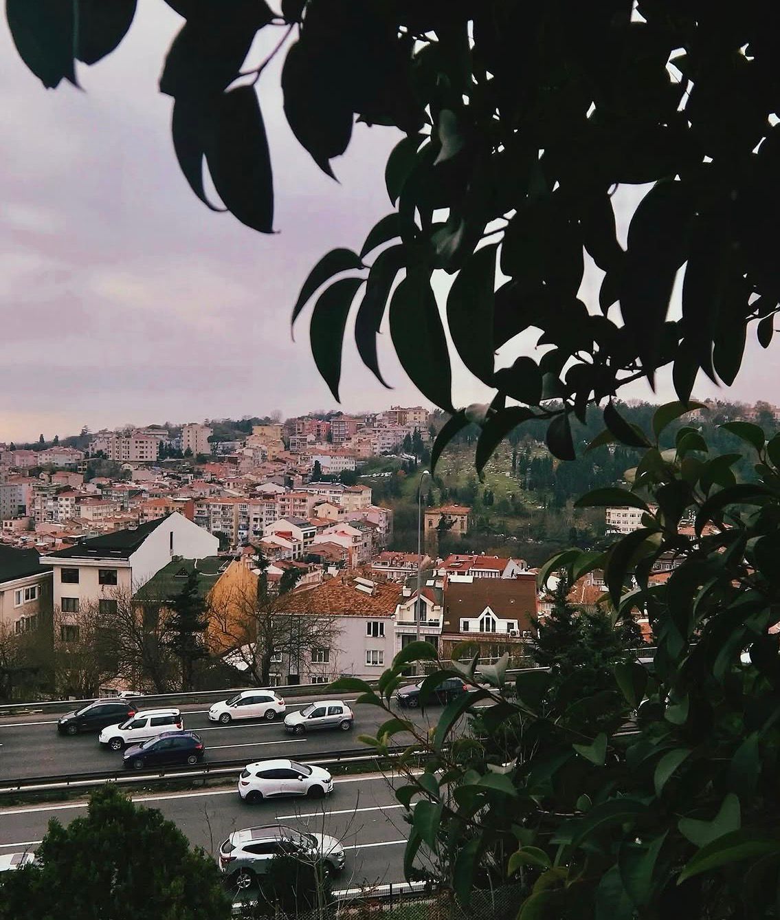 إسطنبول بعدسة جيهان الشماشرجي