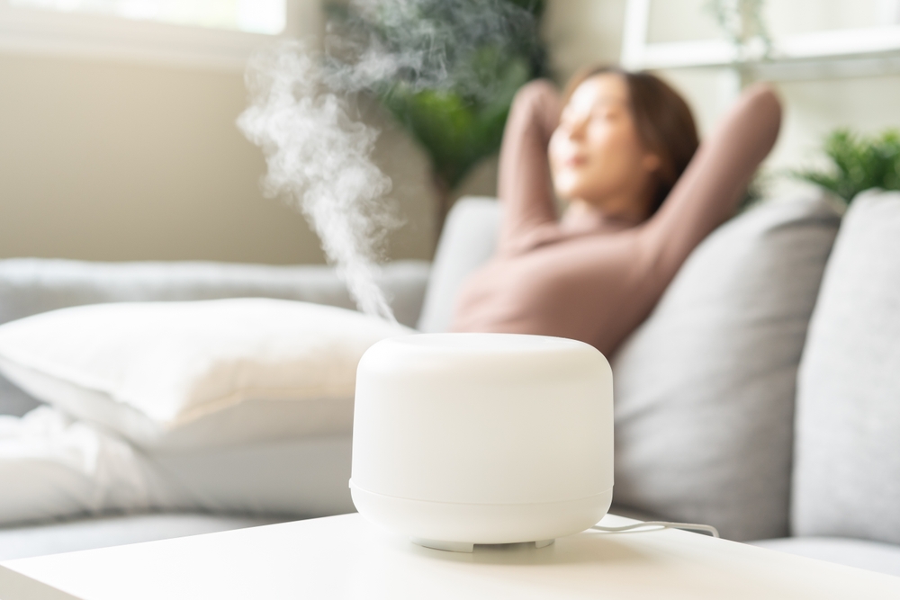 استخدام جهاز الترطيب (Humidifier) يعيد الرطوبة إلى الهواء في الشتاء