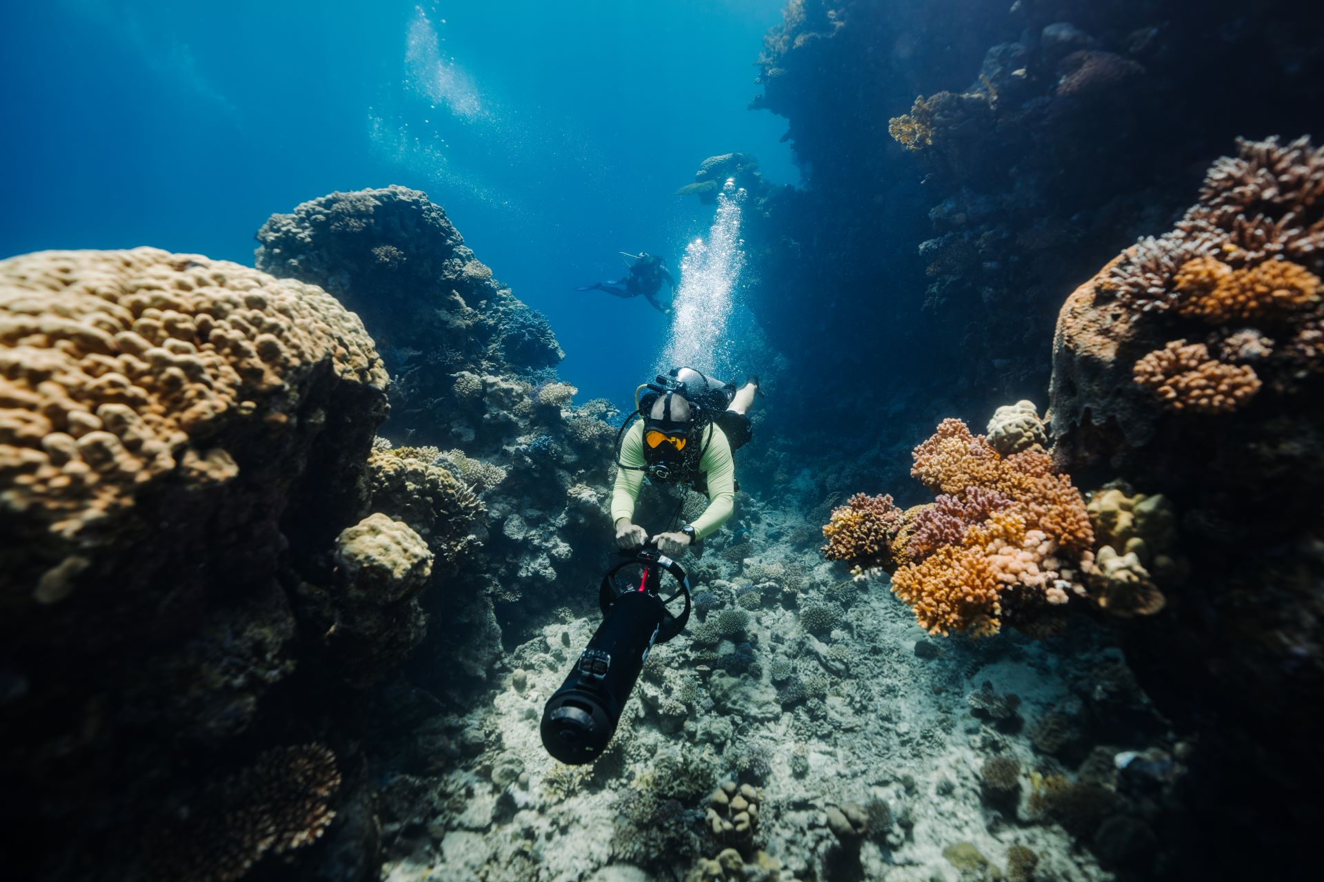عالم خيالي في أعماق البحر الأحمر