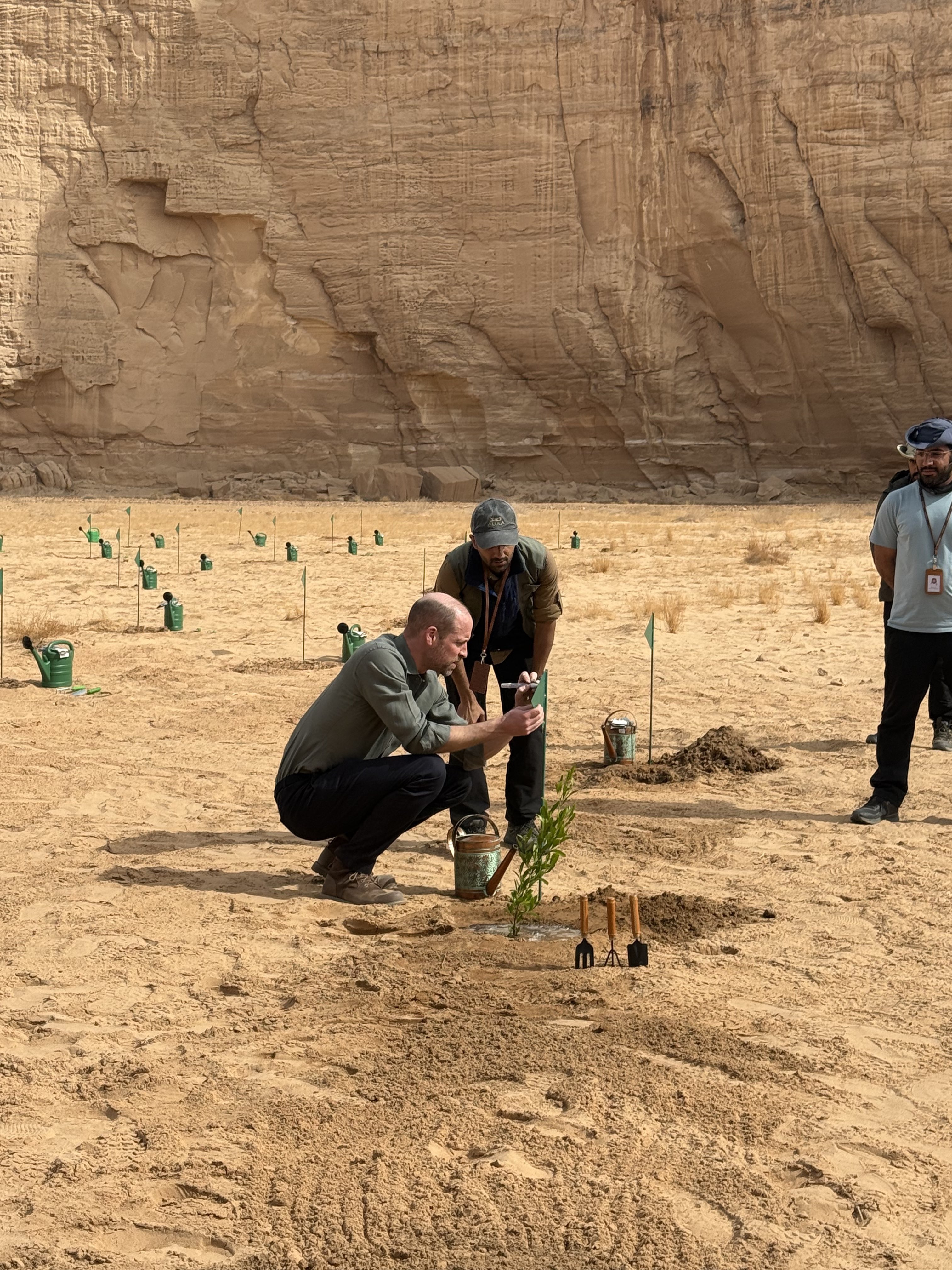 الأمير ويليام يقوم بغرس شجرة في أحضان أرض الحضارات والتاريخ