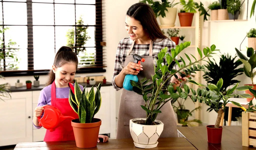 الاعتناء بالنباتات