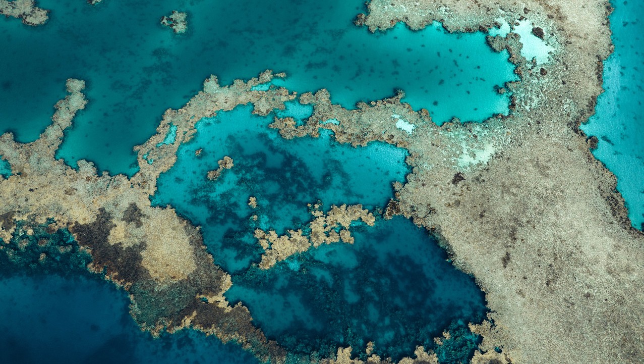 البحر الأحمر.. وجهة سياحية بكر لتجربة استثنائية لا مثيل لها 