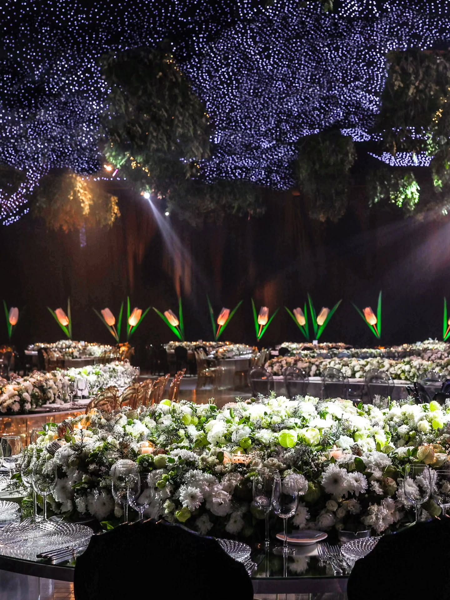 التوليب أكثر الورود استخداماً في أعراس الربيع