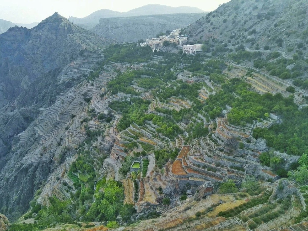 الجبل الأخضر في عُمان.. عزلة راقية فوق جبال الحجر