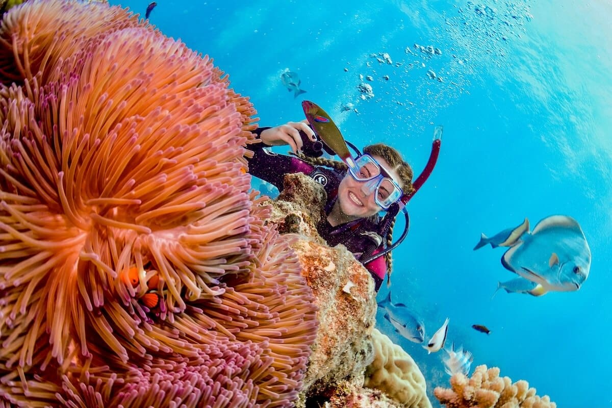 الحيد المرجاني العظيم Great Barrier Reef، أستراليا