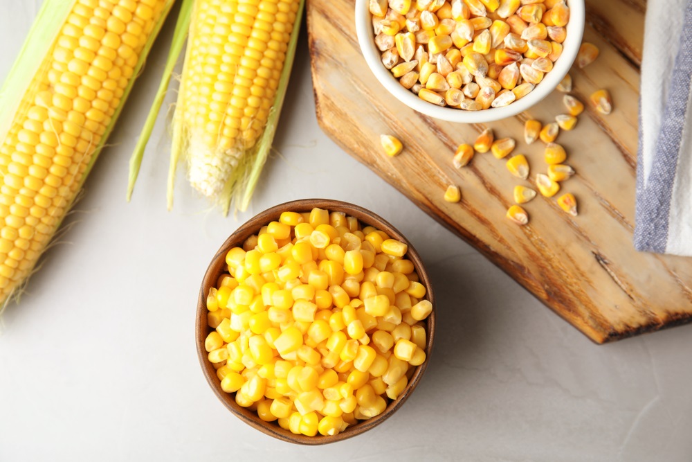 الذرة الصفراء فعالة في محاربة السرطان والشيخوخة وتقوية المناعة