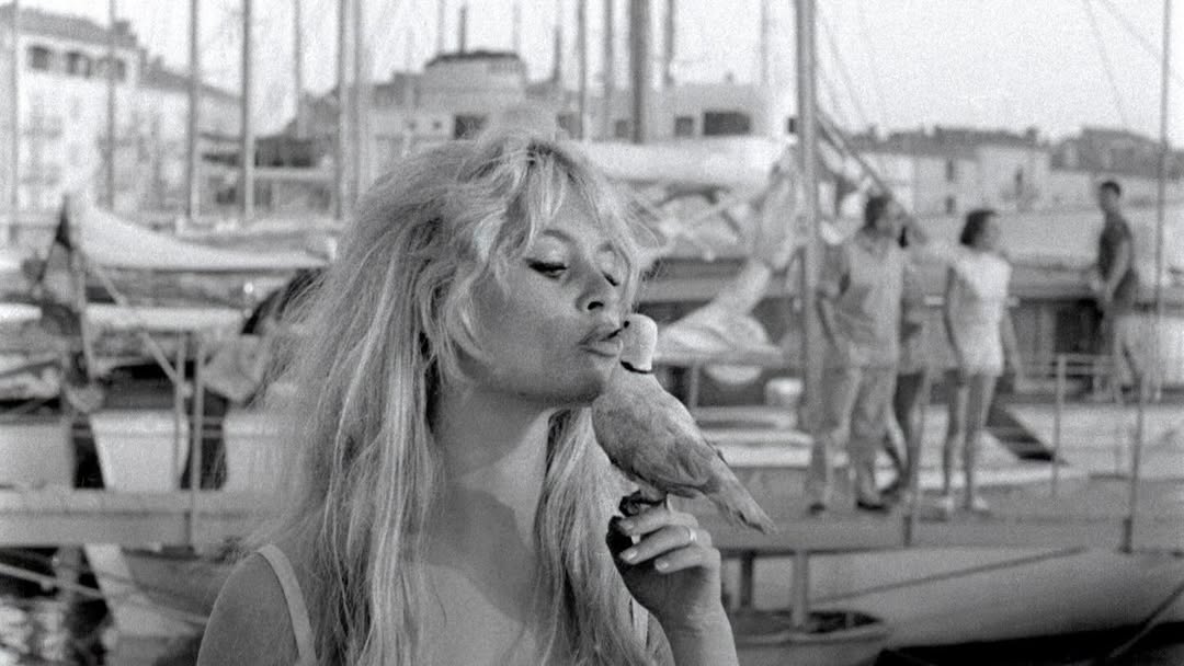 الرئيس الفرنسي ينعى بريجيت باردو