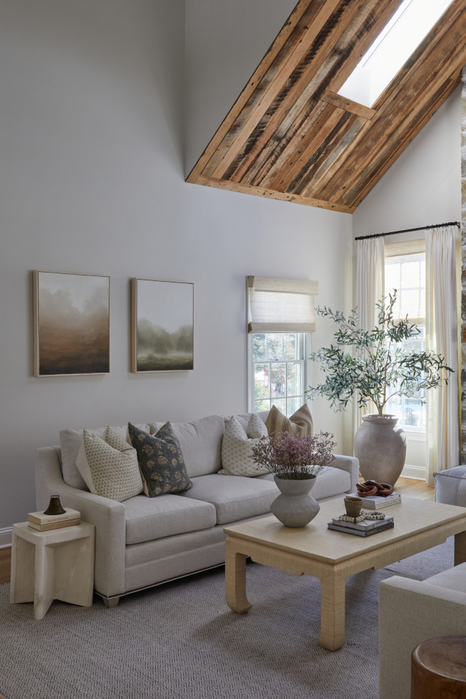 الرمادي الكلاسيكي في غرفة المعيشة