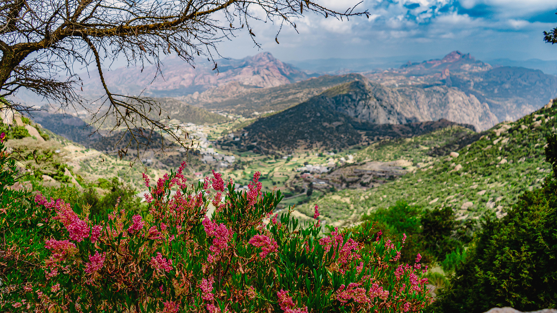 نسيم من الهواء العليل وكوب من القهوة يرسم السعادة على وجهك في جبل السودة