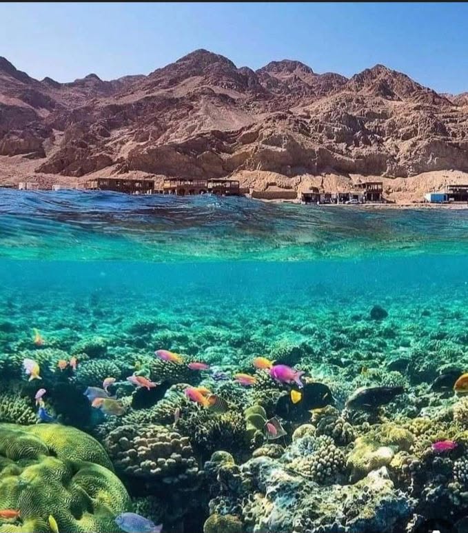 الشعاب المرجانية تزيد من سحر التجربة في دهب