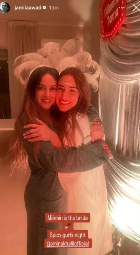 الصورة التي نشرتها جميلة عوض ثم حذفتها
