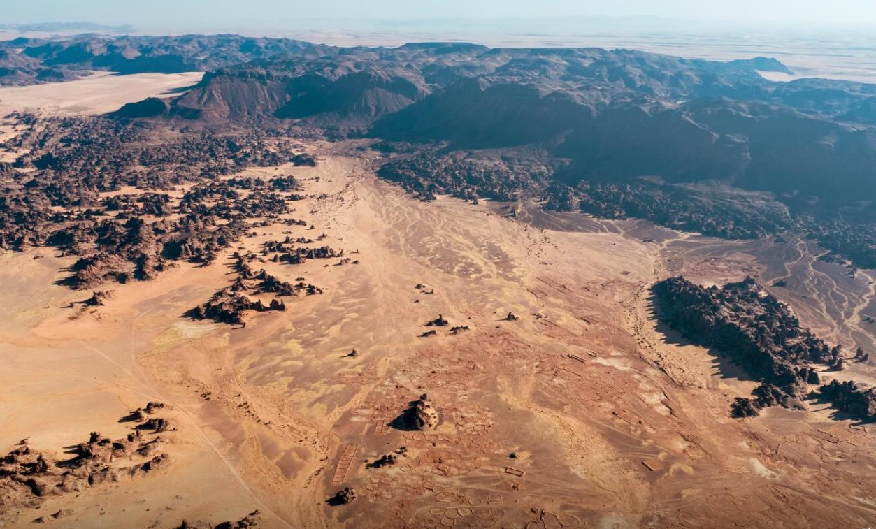 تنوع بيولوجي ساحر للطبيعية في المملكة 