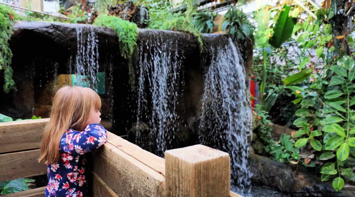 العالم الاستوائي Tropical World