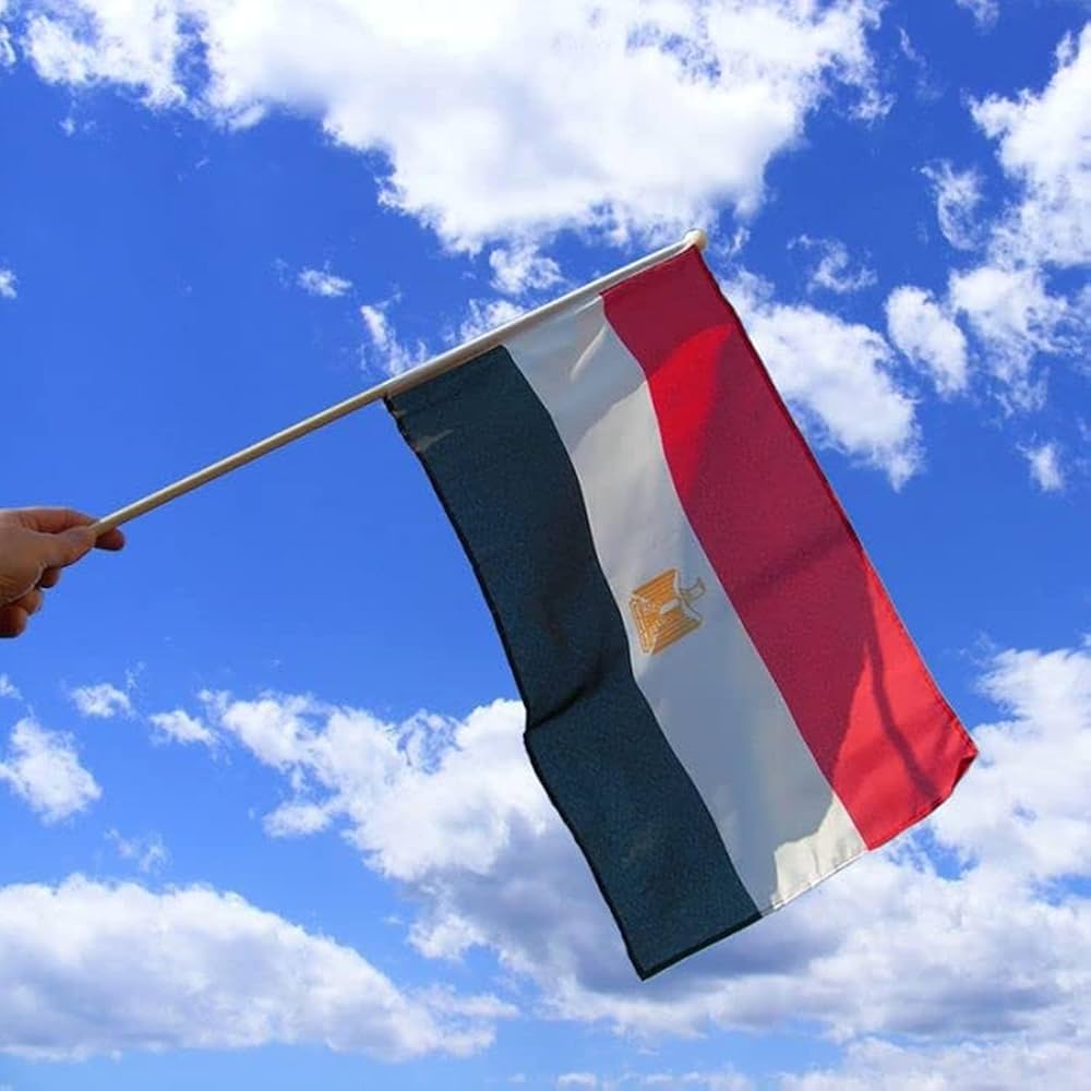 العلم المصري بألوانه المميزة