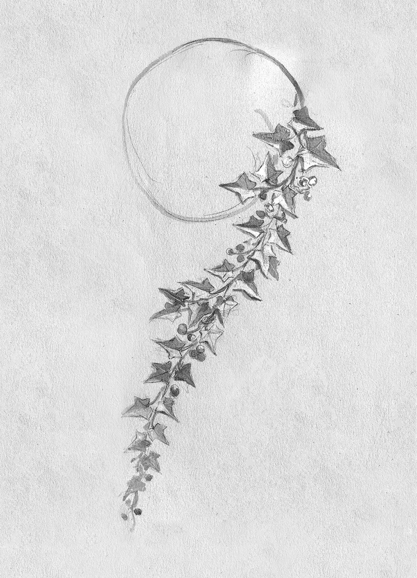 المجوهرات الراقية Histoire de Style