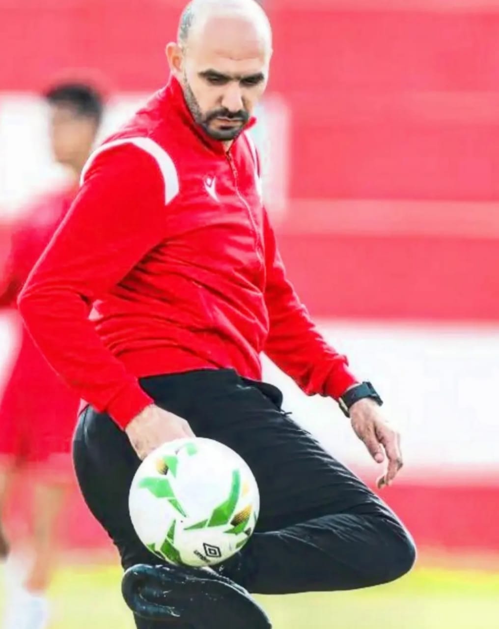 المدرب وليد الركراكي تولى قيادة التغيير الجذري وكسر القيود في منتخب  المغرب