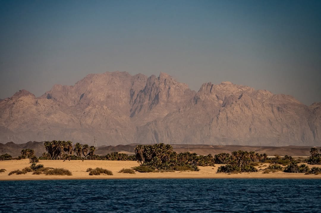 المغامرات البرية