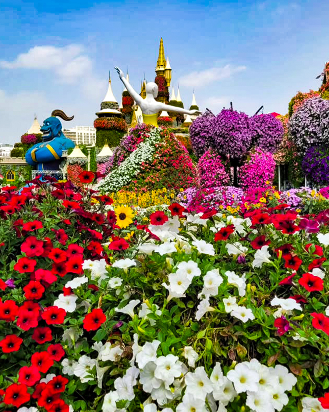 الورود تزيد من بهجة المكان في دبي ميراكل جاردن