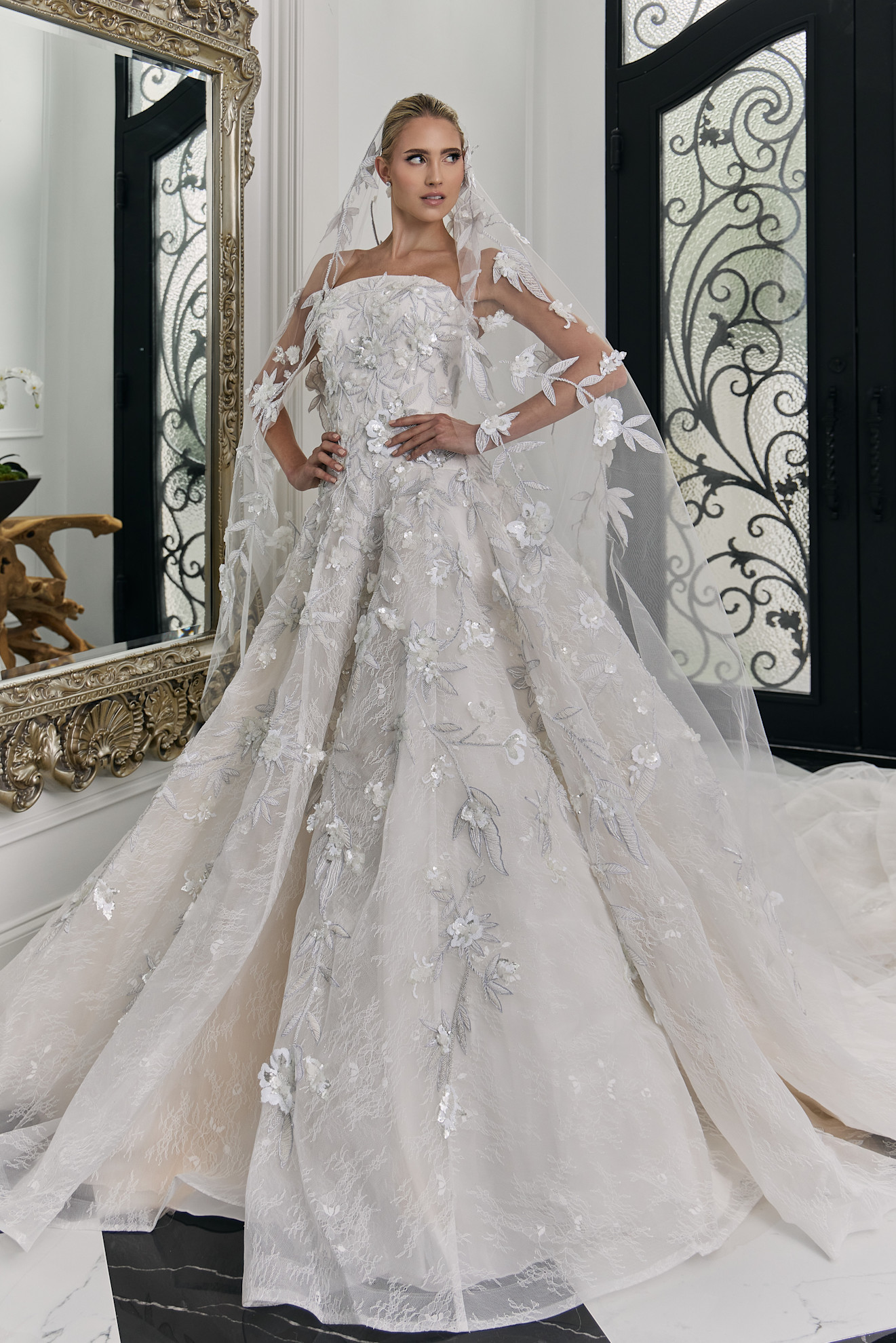 بتلات الأزهار في عروض آسي أزينابور