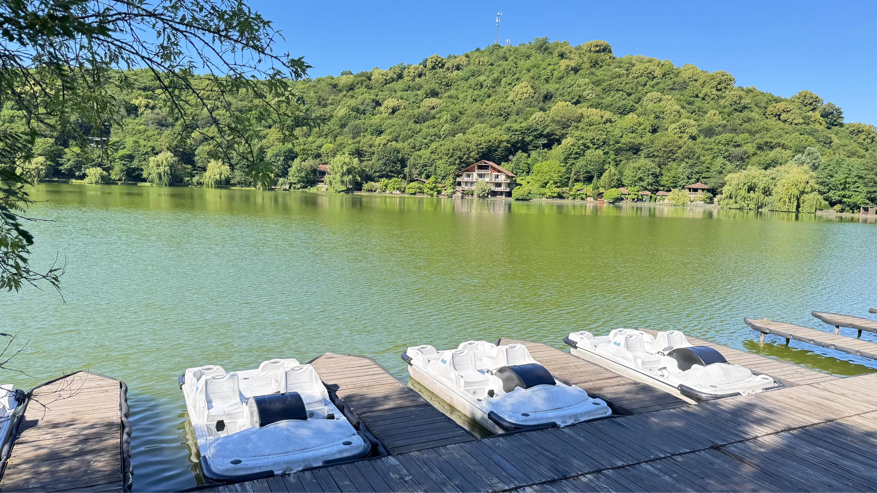 بجيرة رائعة في منتجع لوبوتا ليك ريزورت آند سبا (Lopota Lake Resort & Spa)،